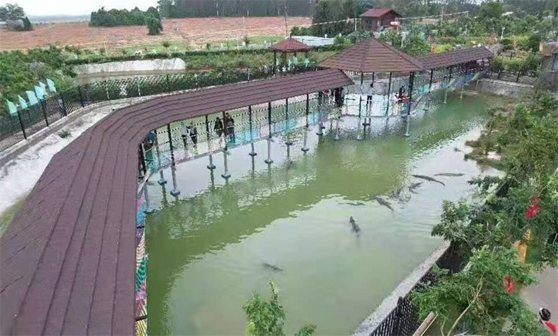 海南省东方市鳄珍鳄鱼产业园玻璃栈道